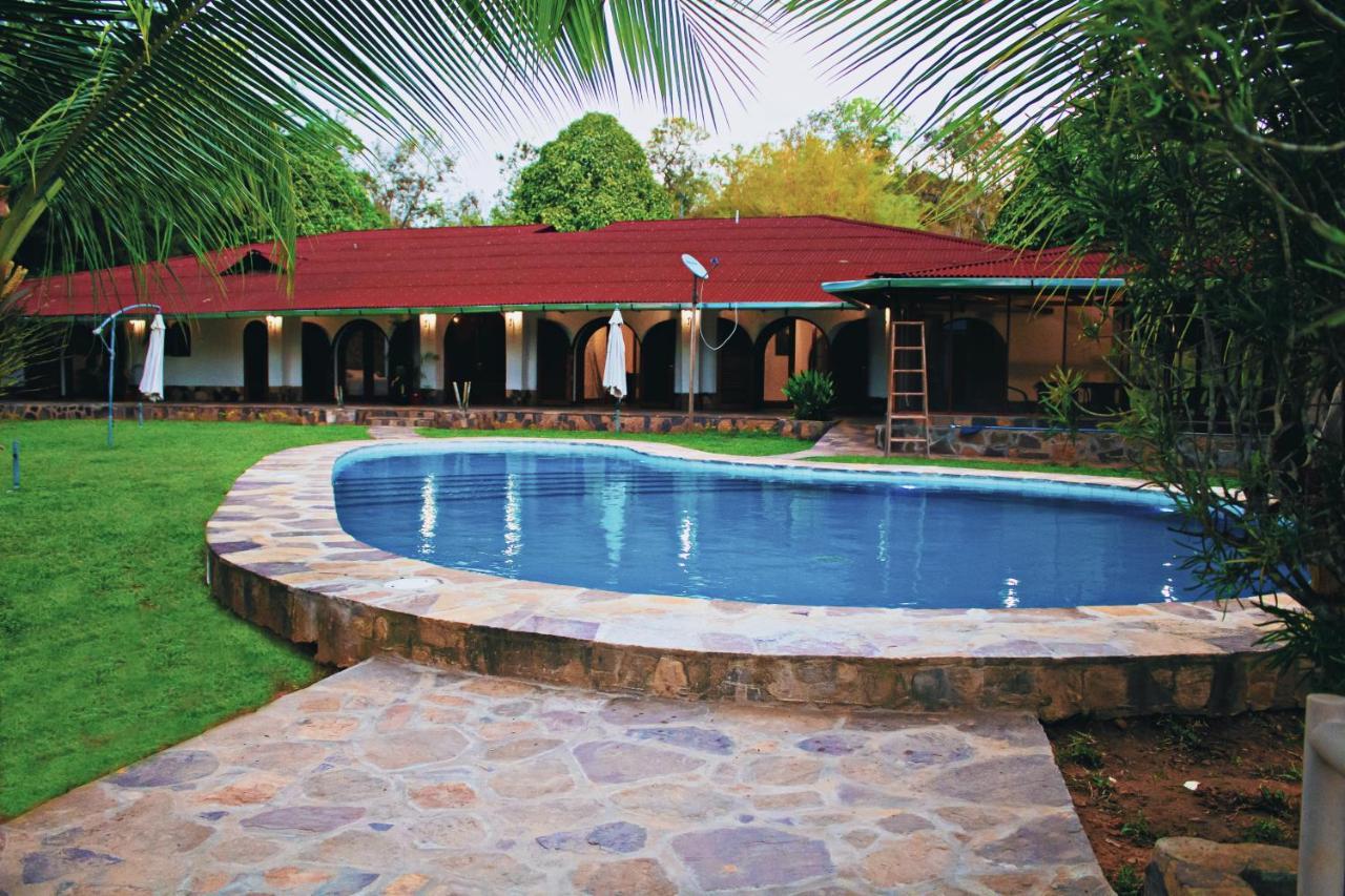 Apu Samay Nature Lodge 타라포토 외부 사진
